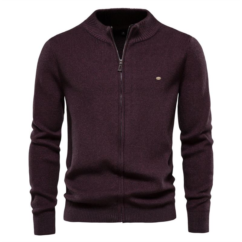 Cardigan Épais Pour Hommes Couleur Unie Fermeture Éclair Pull Basique De Haute Qualité Nouvelle Collection Hiver Automne Vêtements - Bleu