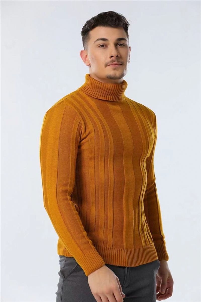 Pulls À Col Roulé Pour Hommes Coupe Cintrée Décontracté Basique Couleur Unie Chaud Rayé Nouvelle Collection Hiver