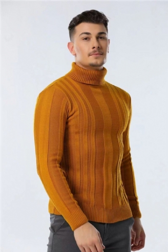 Pulls À Col Roulé Pour Hommes Coupe Cintrée Décontracté Basique Couleur Unie Chaud Rayé Nouvelle Collection Hiver