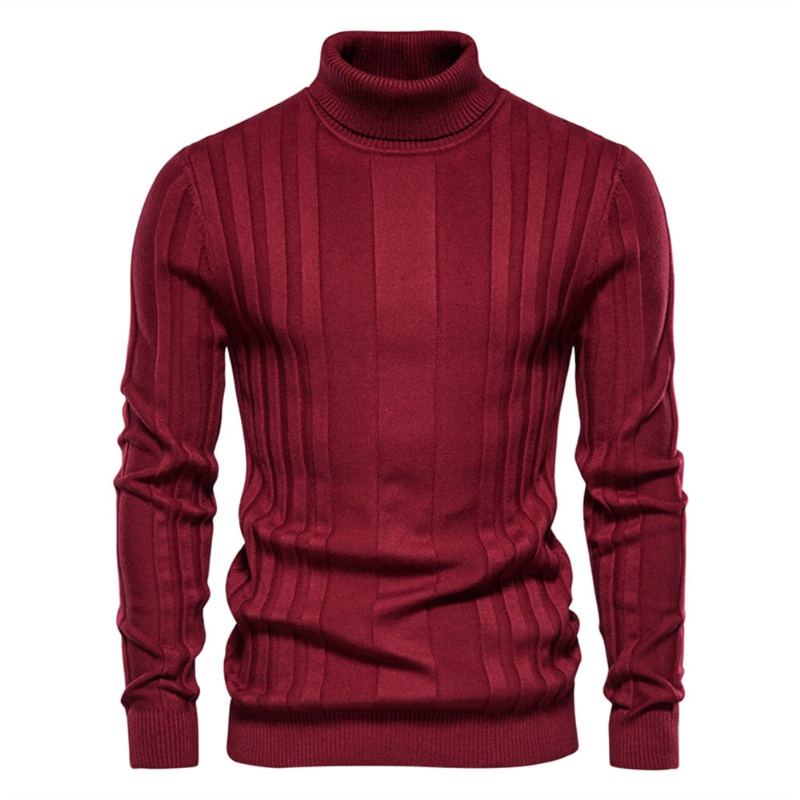 Pulls À Col Roulé Pour Hommes Coupe Cintrée Décontracté Basique Couleur Unie Chaud Rayé Nouvelle Collection Hiver - Marron